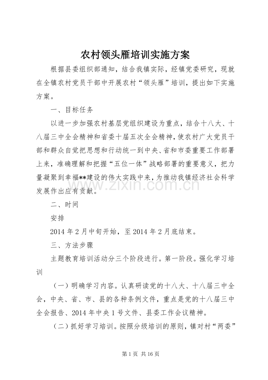 农村领头雁培训方案.docx_第1页