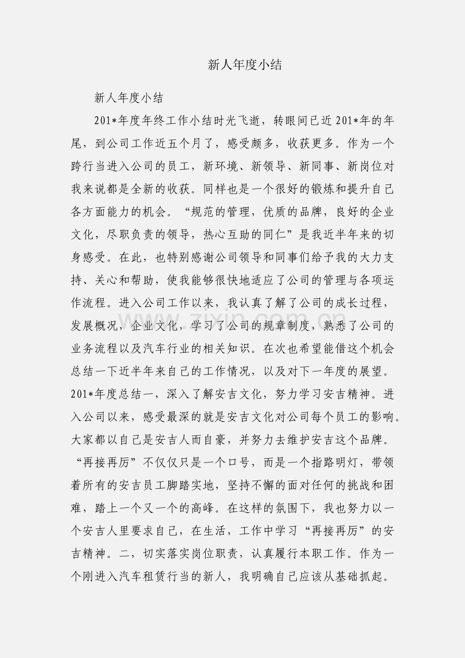 新人年度小结.docx_第1页