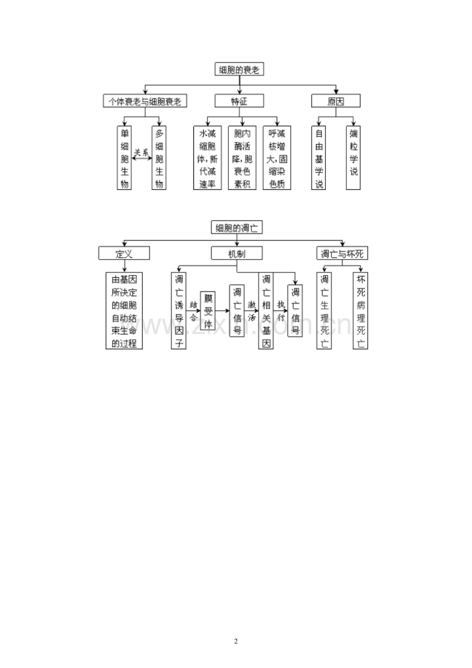 本章核心知识结构图.doc_第2页