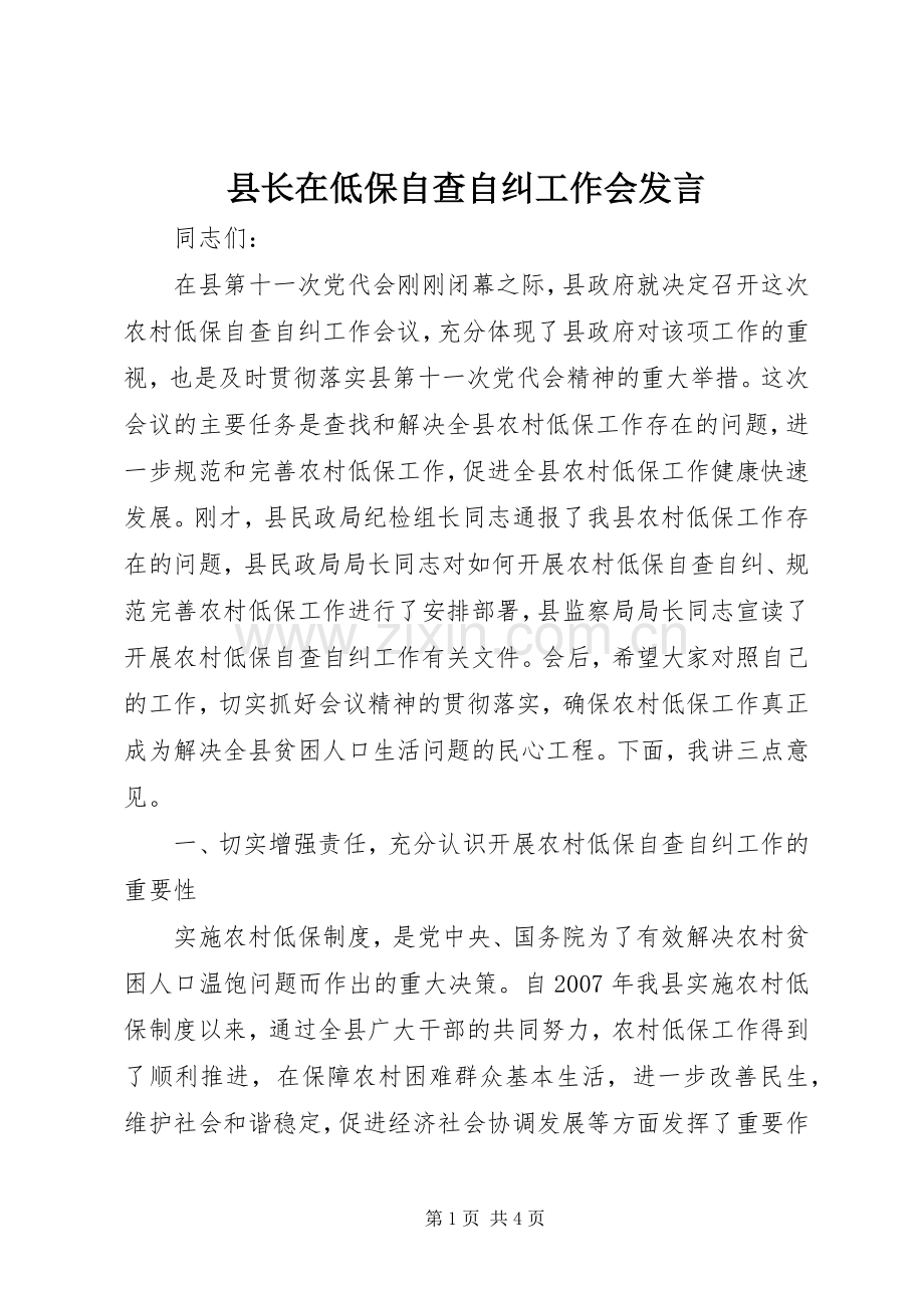 县长在低保自查自纠工作会发言稿.docx_第1页