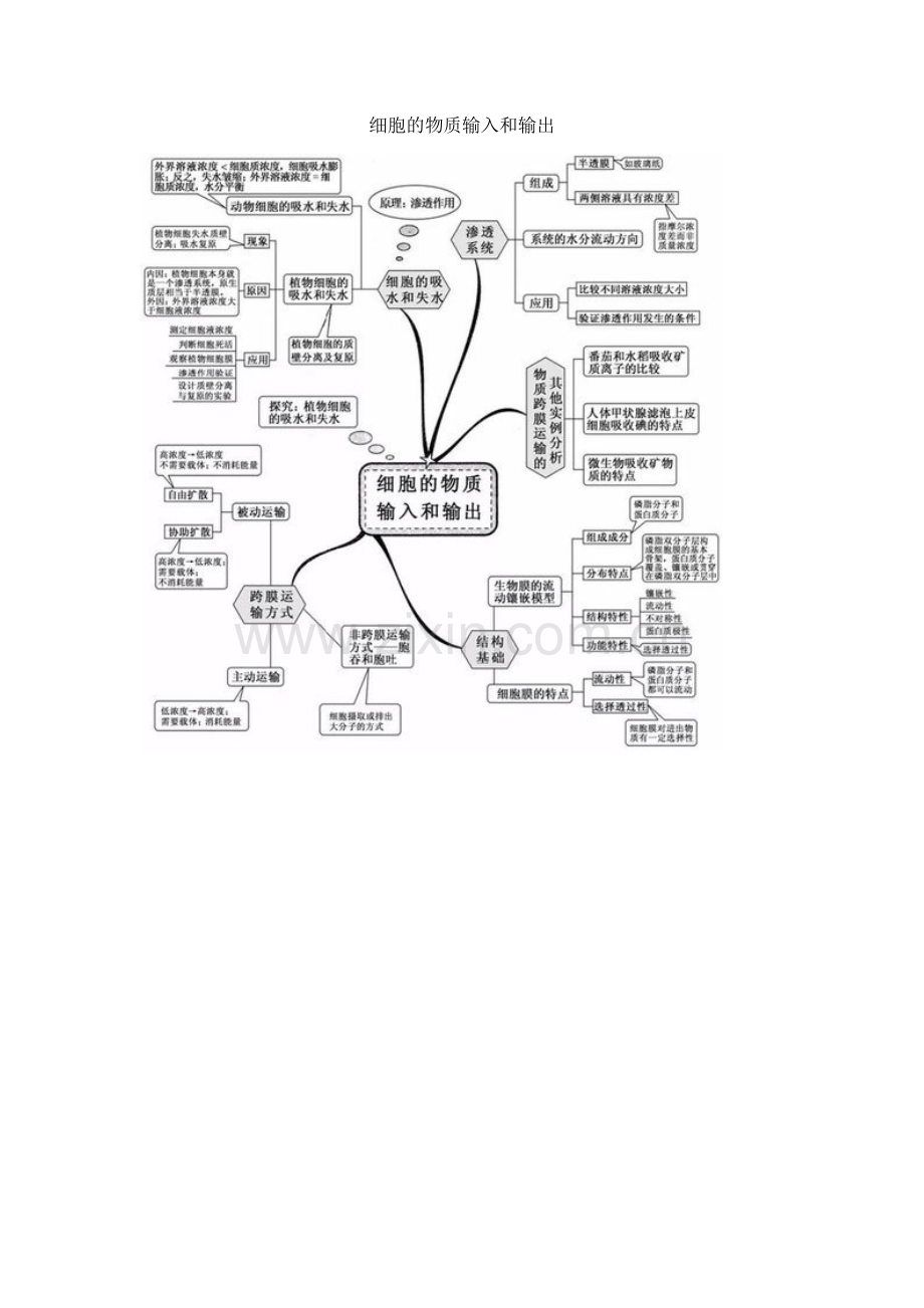 细胞的物质输入和输出.docx_第1页