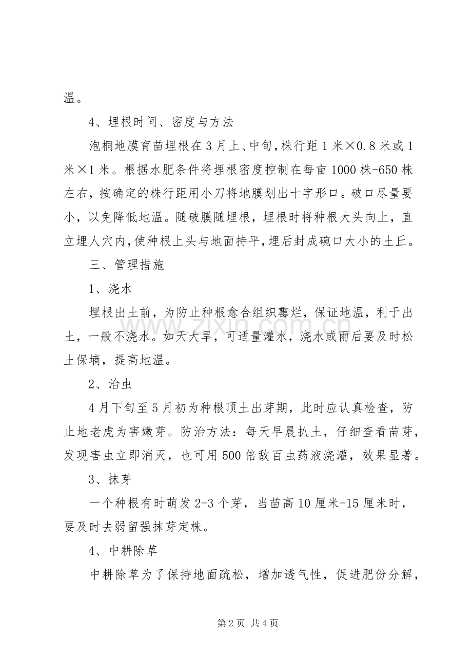 园林绿化公司泡桐育苗实施方案.docx_第2页