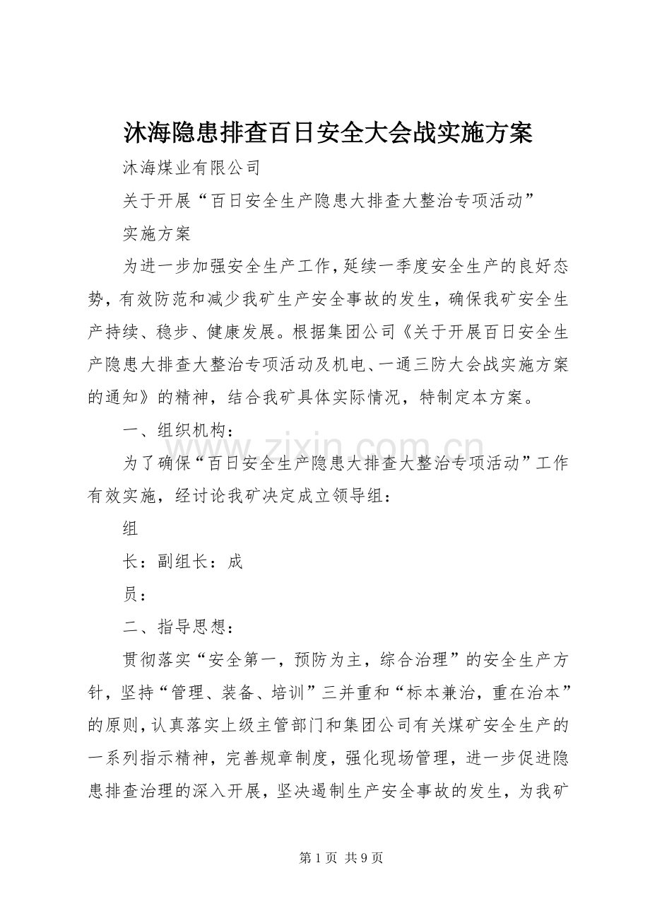 沐海隐患排查百日安全大会战方案.docx_第1页