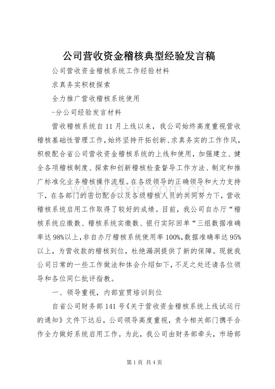 公司营收资金稽核典型经验发言稿.docx_第1页