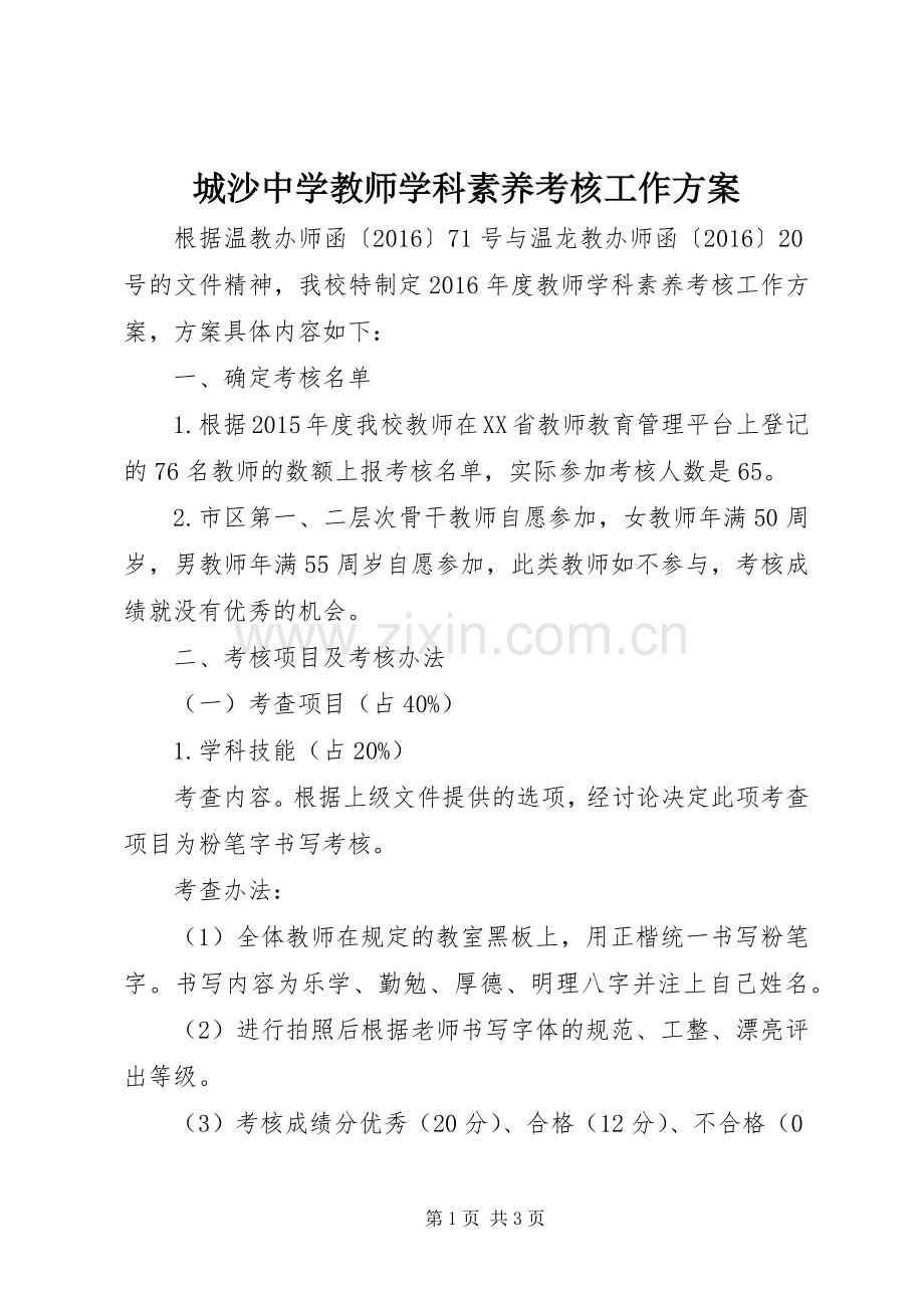 城沙中学教师学科素养考核工作实施方案.docx_第1页