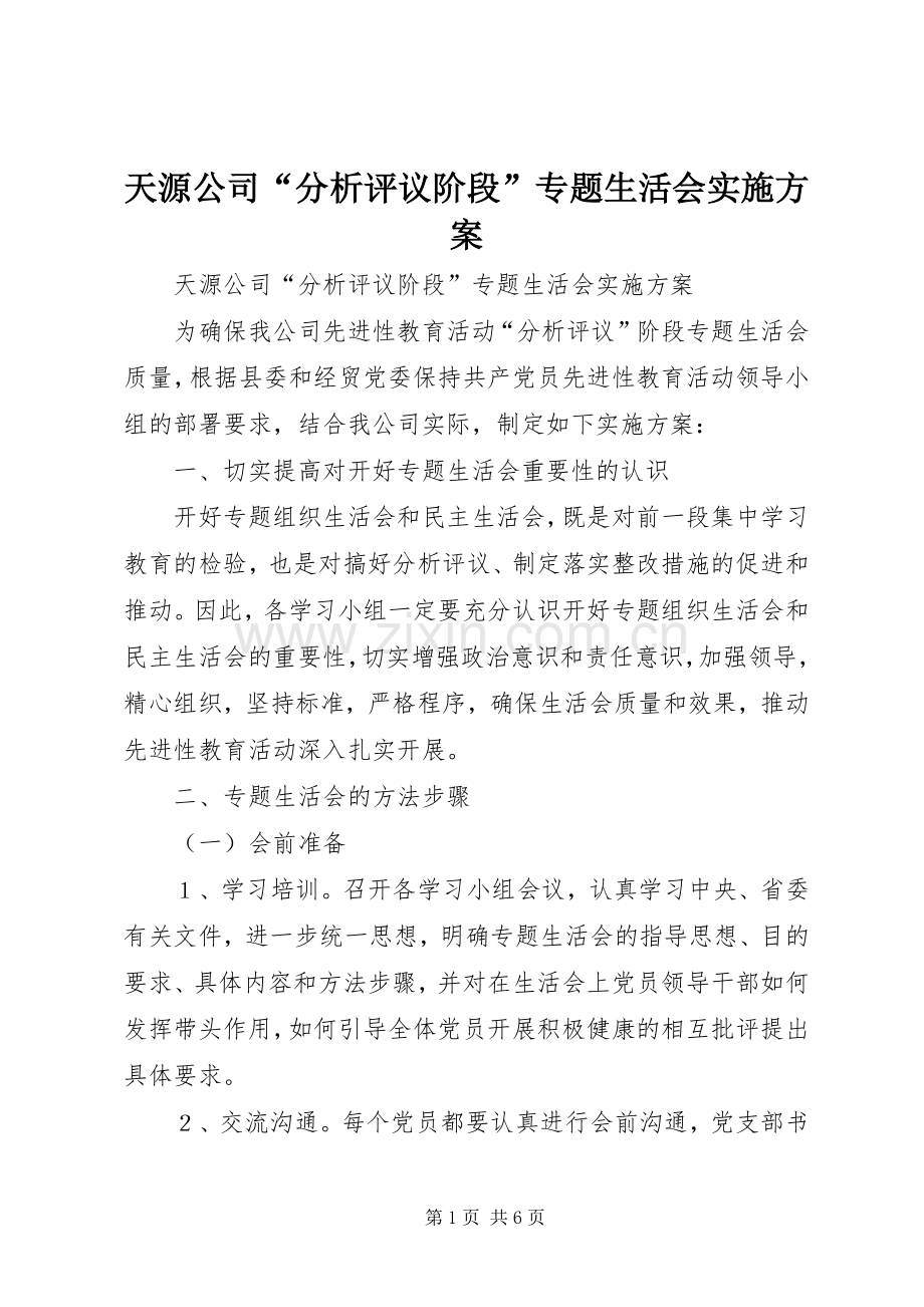 天源公司“分析评议阶段”专题生活会方案 .docx_第1页