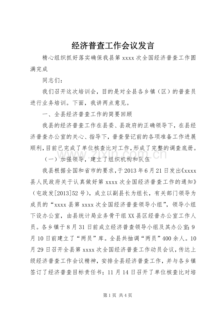 经济普查工作会议发言.docx_第1页
