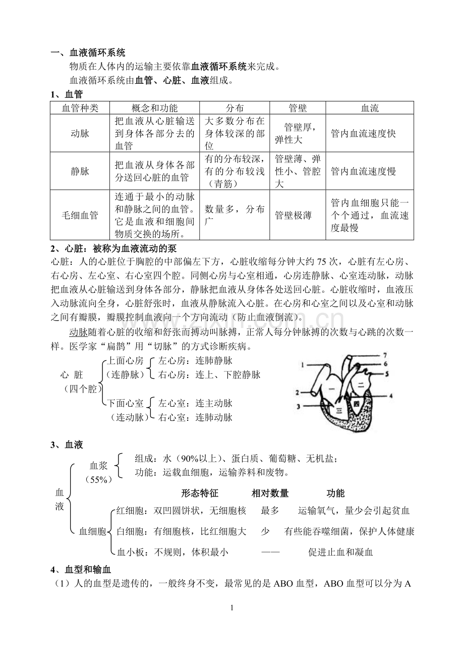 苏科版初二生物会考复习提纲(八上).doc_第1页