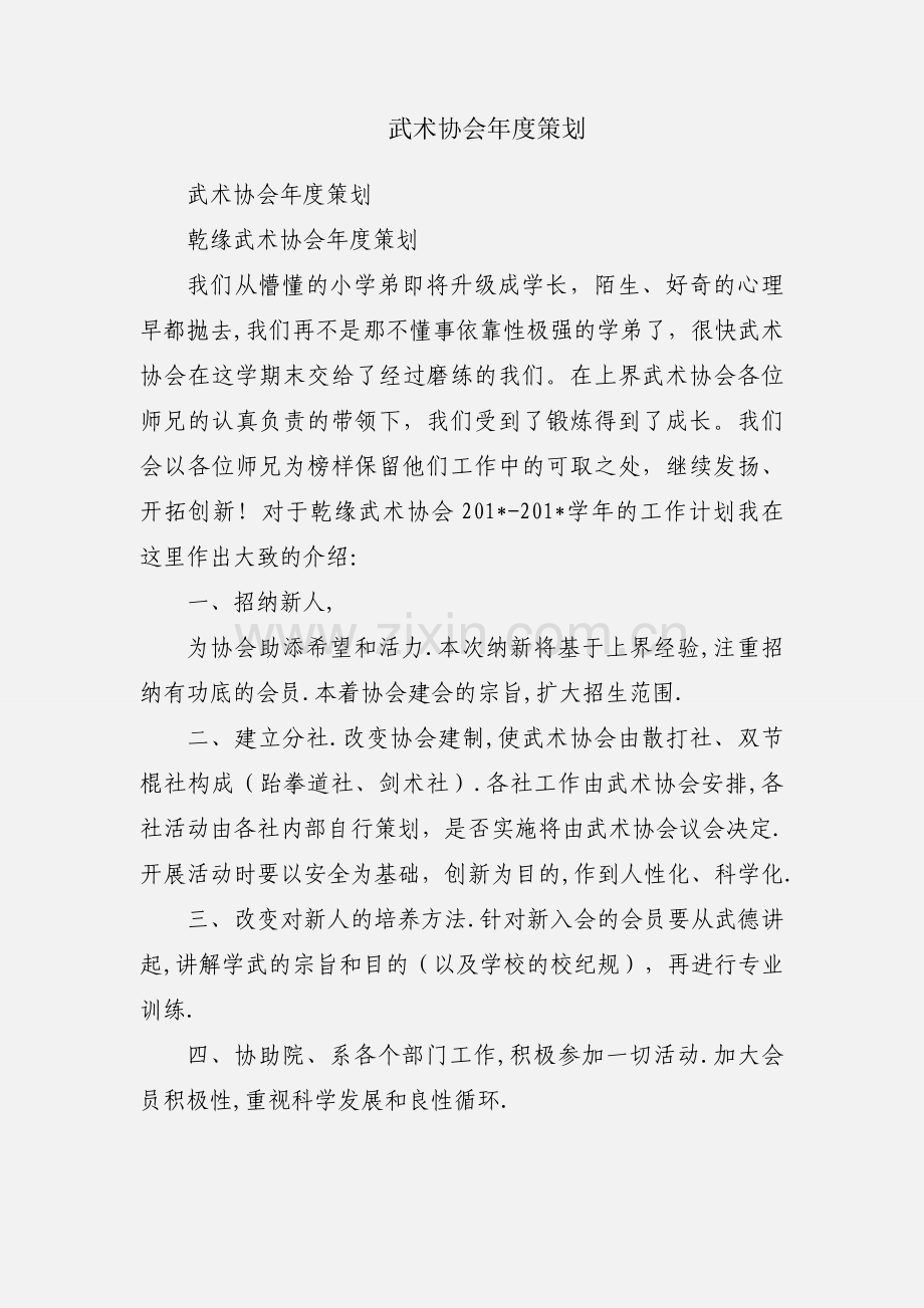 武术协会年度策划.docx_第1页