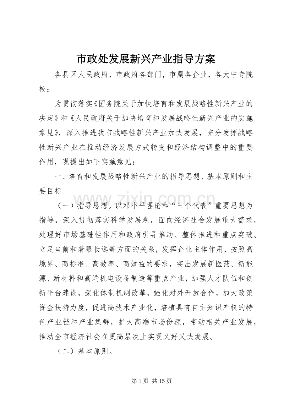 市政处发展新兴产业指导实施方案.docx_第1页
