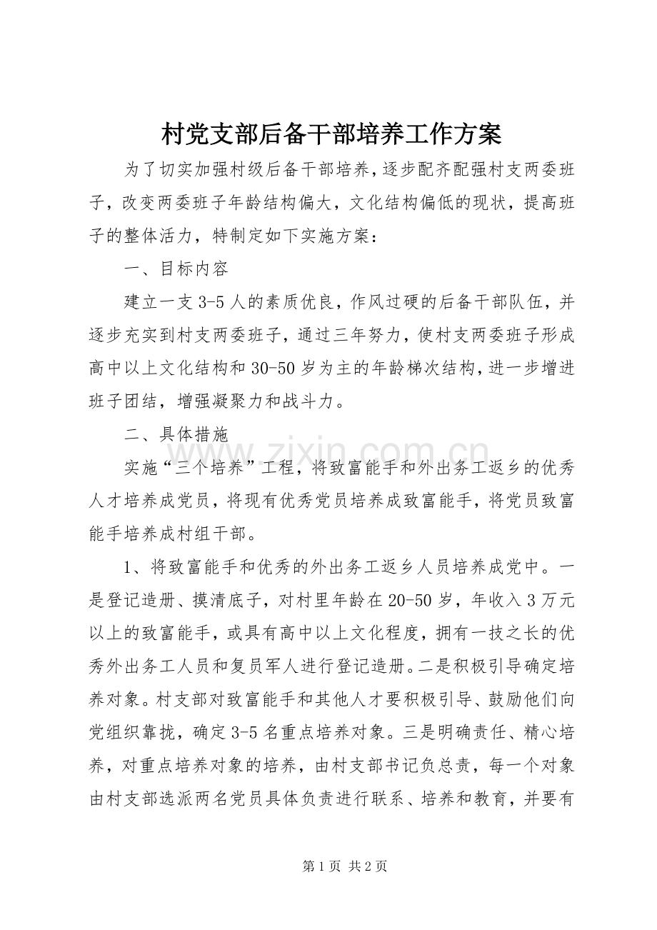 村党支部后备干部培养工作实施方案.docx_第1页