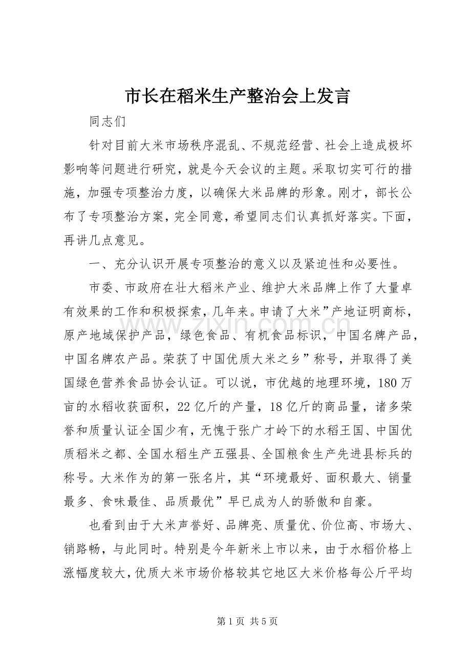 市长在稻米生产整治会上发言.docx_第1页