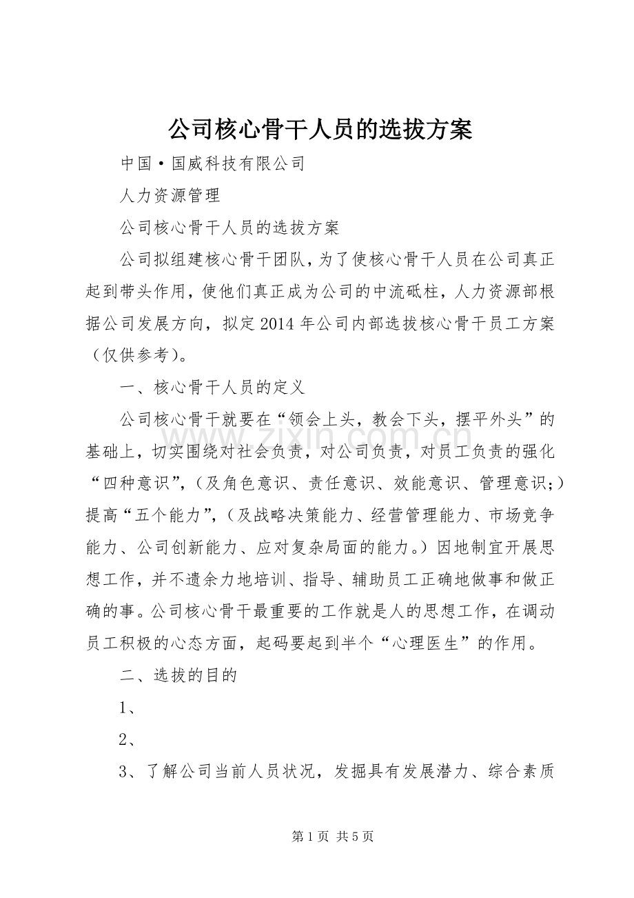 公司核心骨干人员的选拔实施方案.docx_第1页