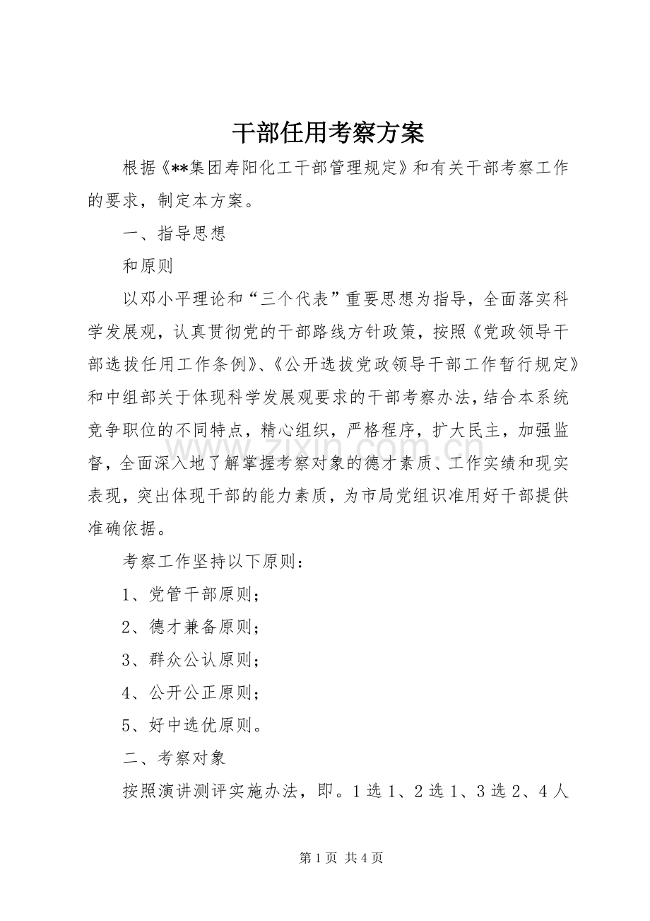 干部任用考察实施方案.docx_第1页