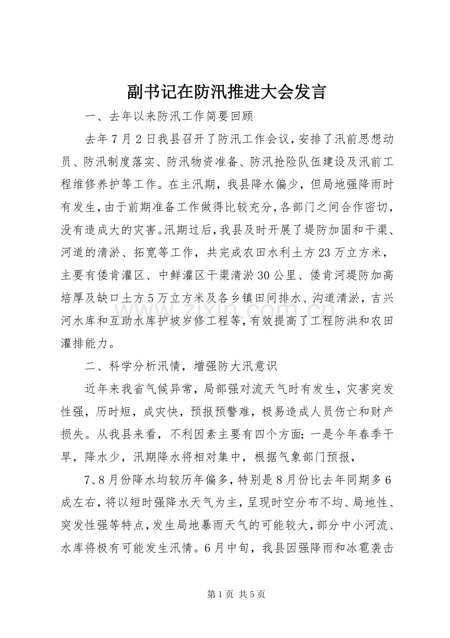 副书记在防汛推进大会发言稿.docx_第1页
