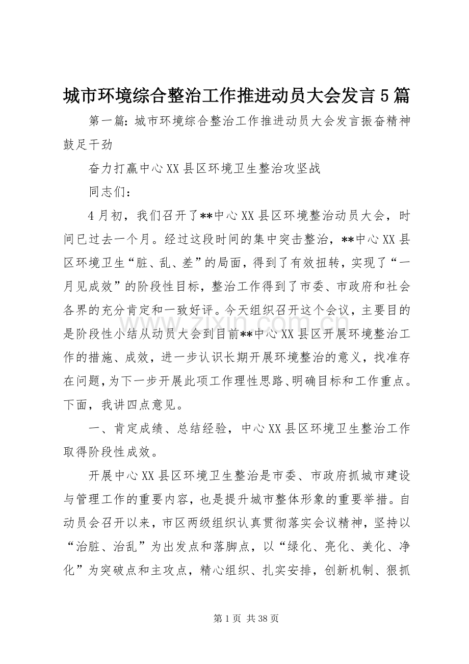 城市环境综合整治工作推进动员大会发言5篇.docx_第1页