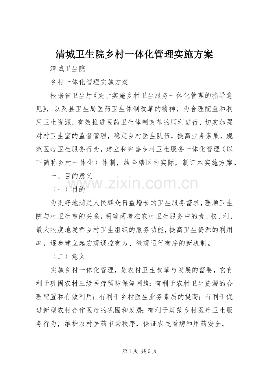 清城卫生院乡村一体化管理方案.docx_第1页