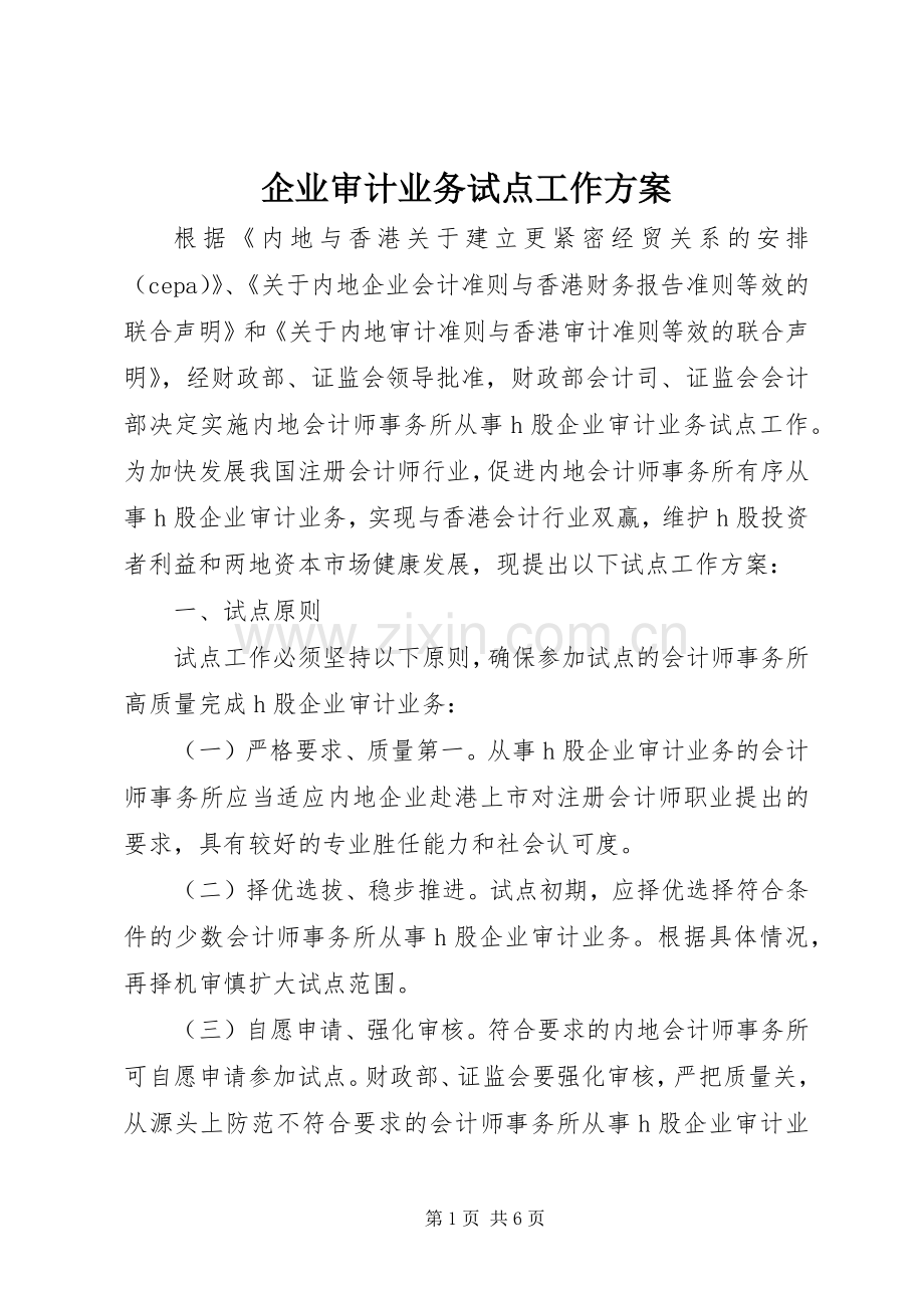 企业审计业务试点工作实施方案.docx_第1页