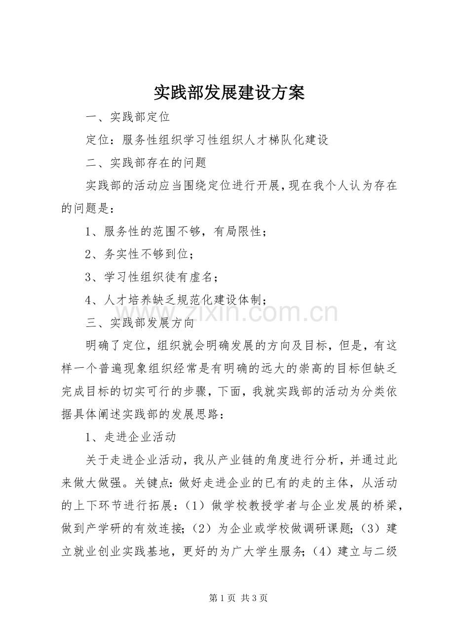 实践部发展建设实施方案.docx_第1页