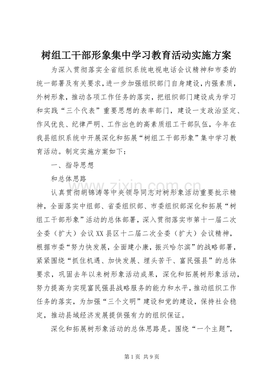 树组工干部形象集中学习教育活动方案 .docx_第1页