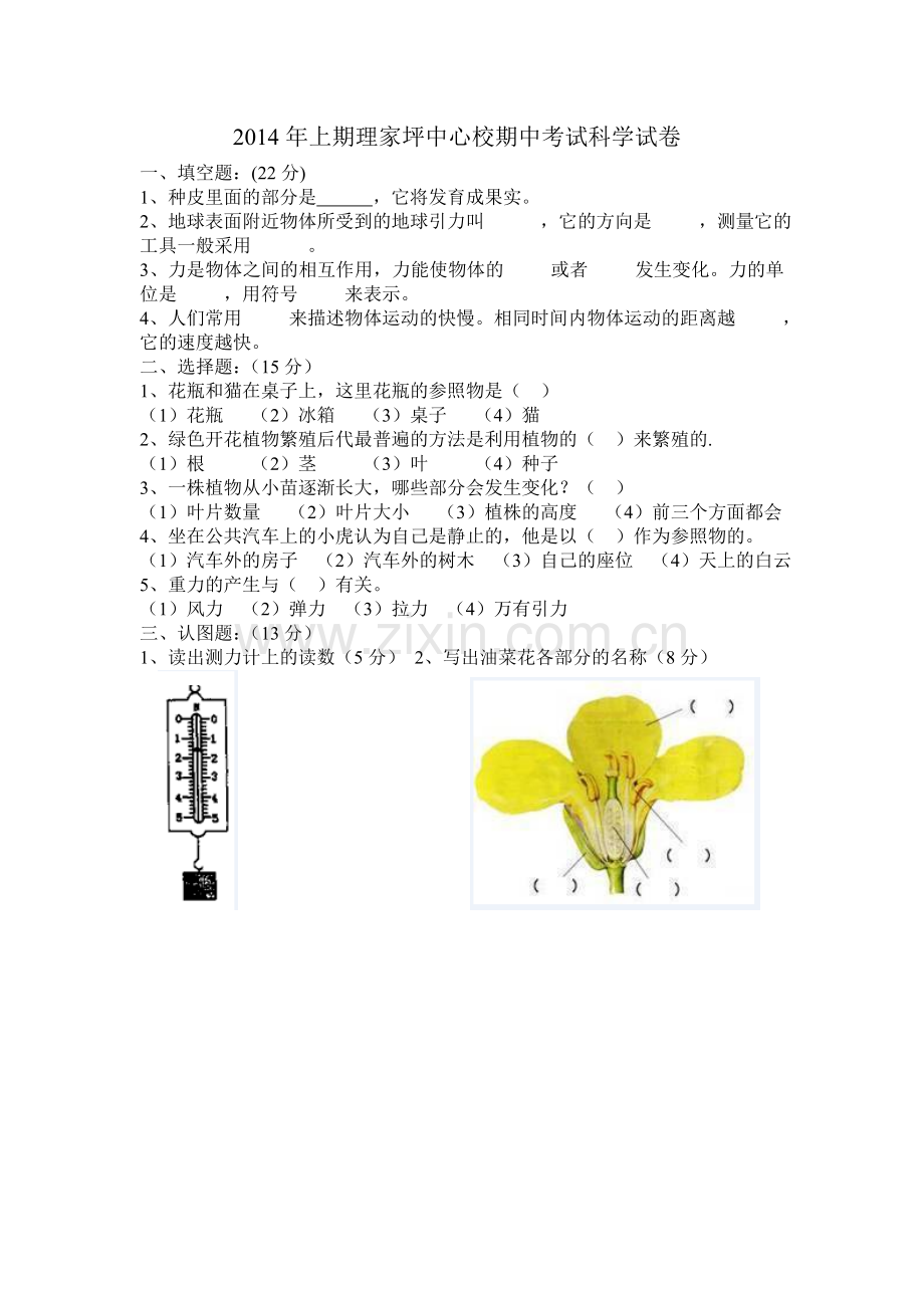 期中考试科学试卷.doc_第1页