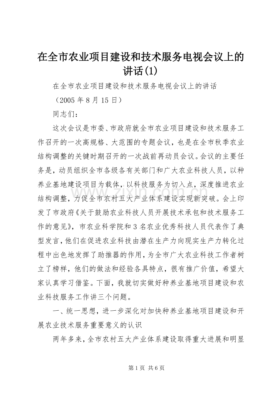 在全市农业项目建设和技术服务电视会议上的讲话(1).docx_第1页