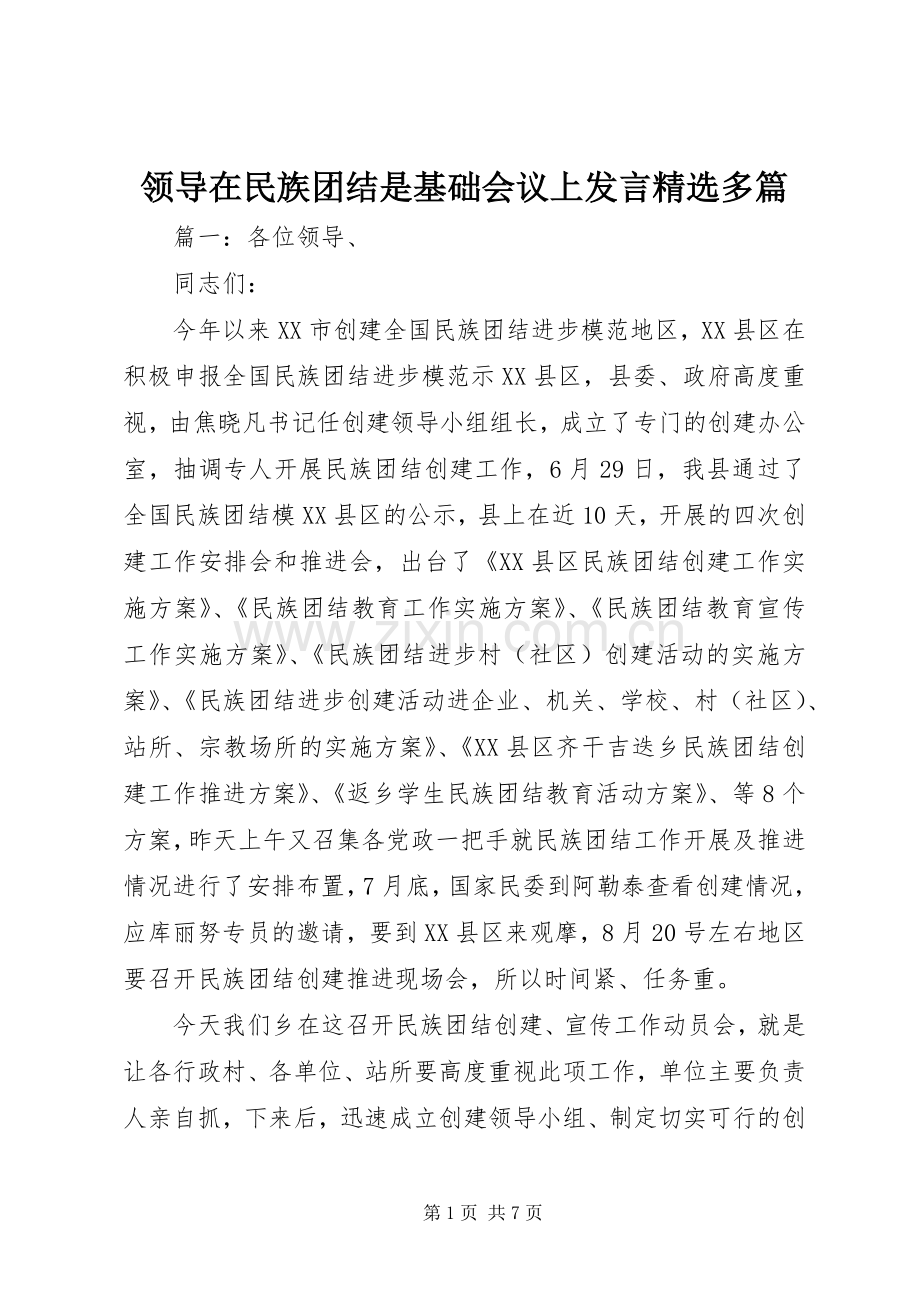 领导在民族团结是基础会议上发言稿多篇.docx_第1页
