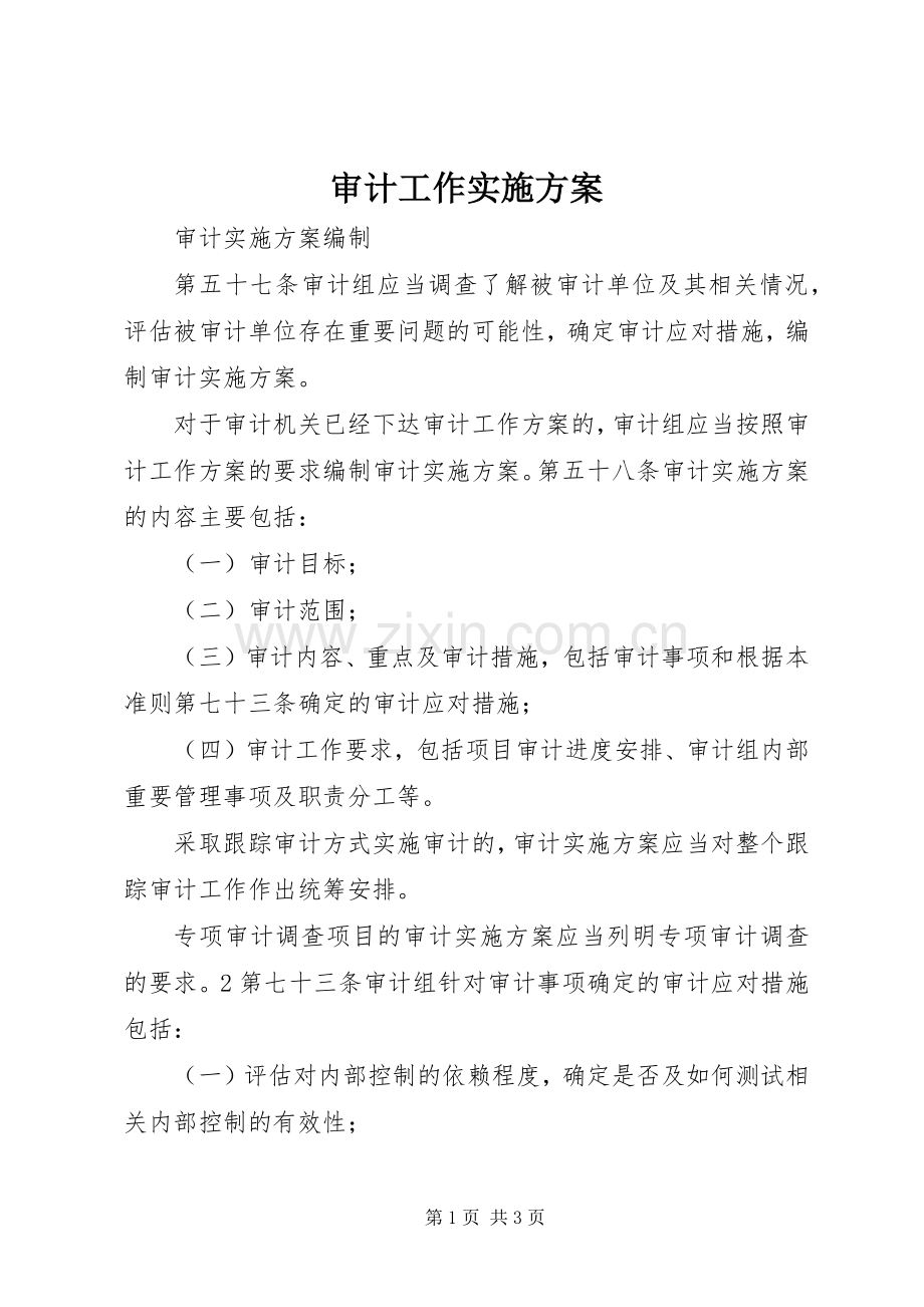 审计工作方案.docx_第1页