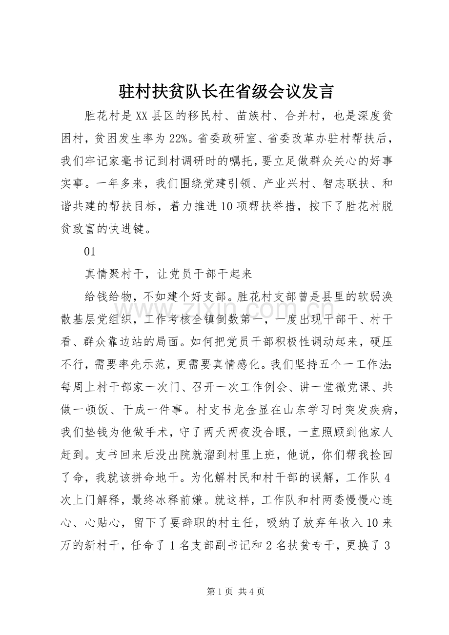 驻村扶贫队长在省级会议发言.docx_第1页