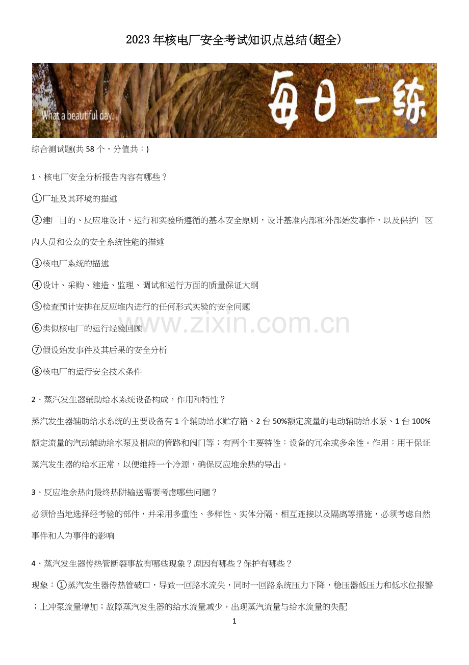 2023年核电厂安全考试知识点总结.docx_第1页