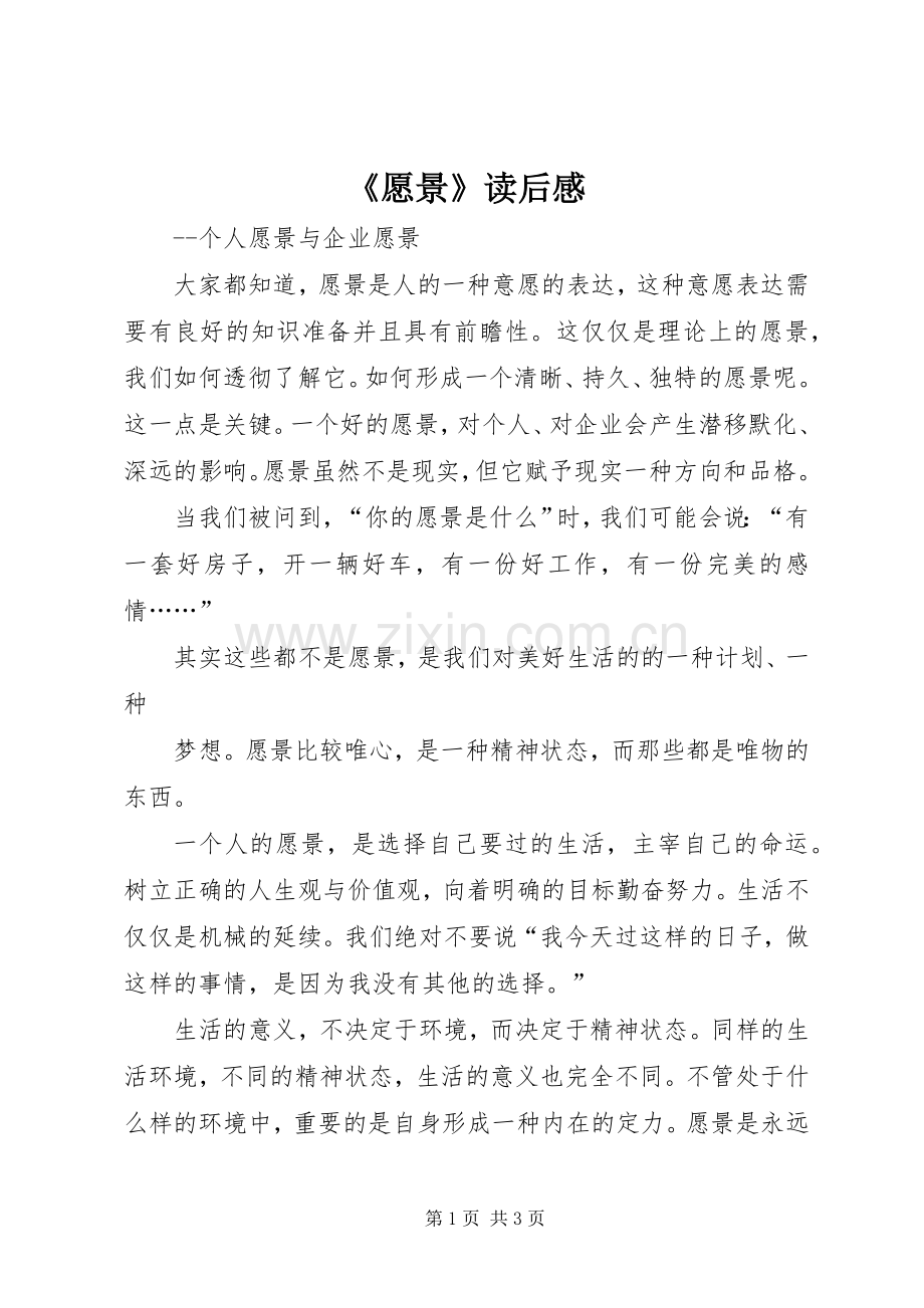 《愿景》读后感 .docx_第1页
