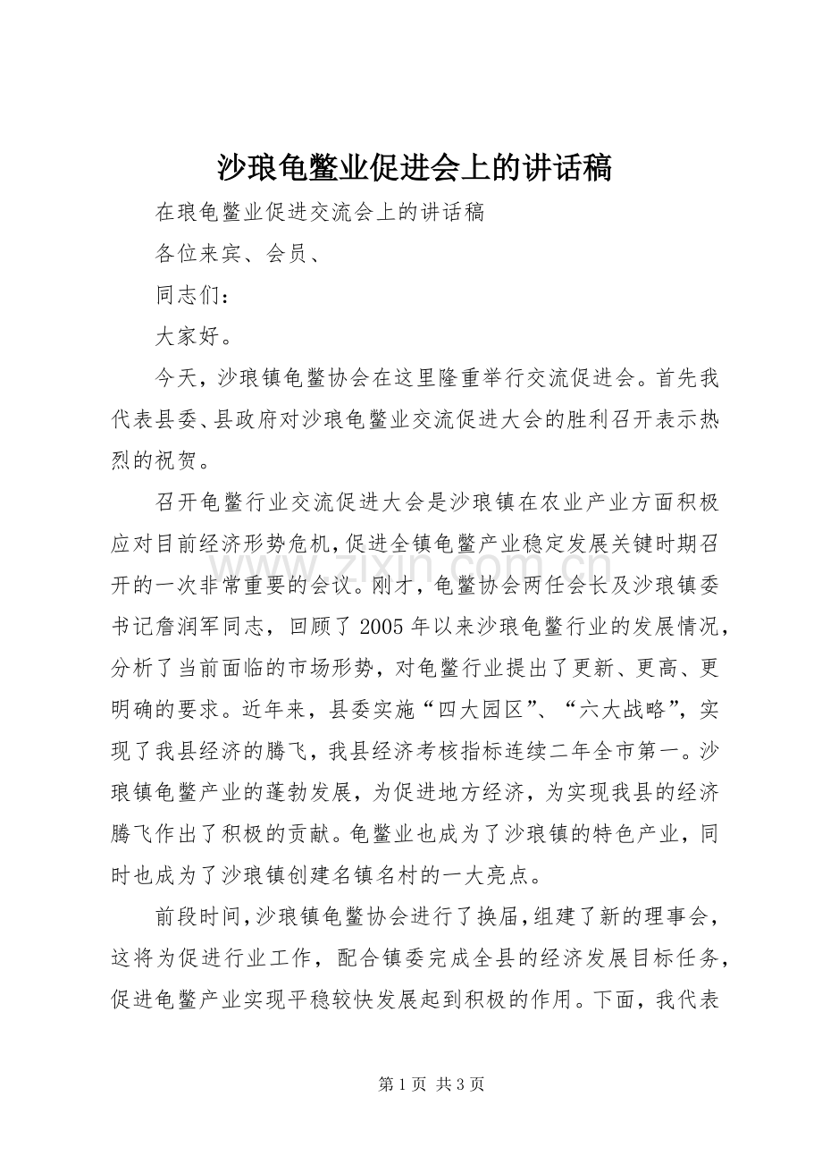 沙琅龟鳖业促进会上的讲话稿.docx_第1页