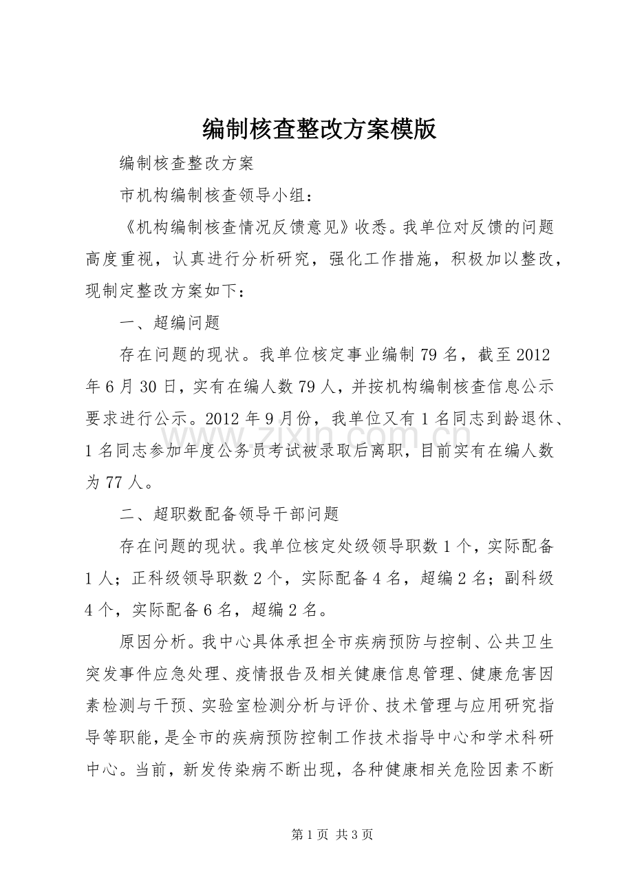 编制核查整改实施方案模版.docx_第1页