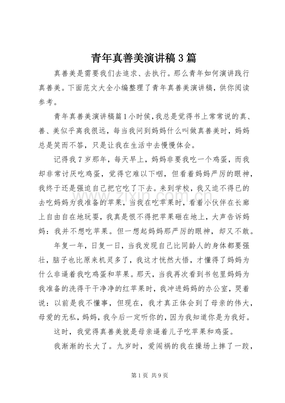 青年真善美演讲稿3篇.docx_第1页