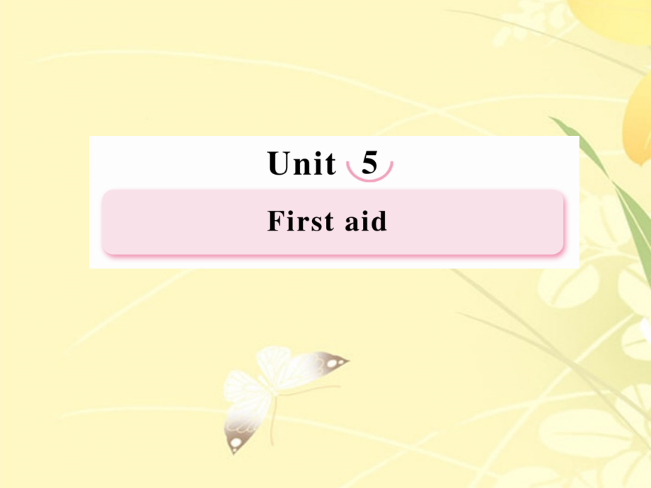 高中英语 Unit5 First Aid Learning about Language课件 新人教版必修5 课件.ppt_第1页