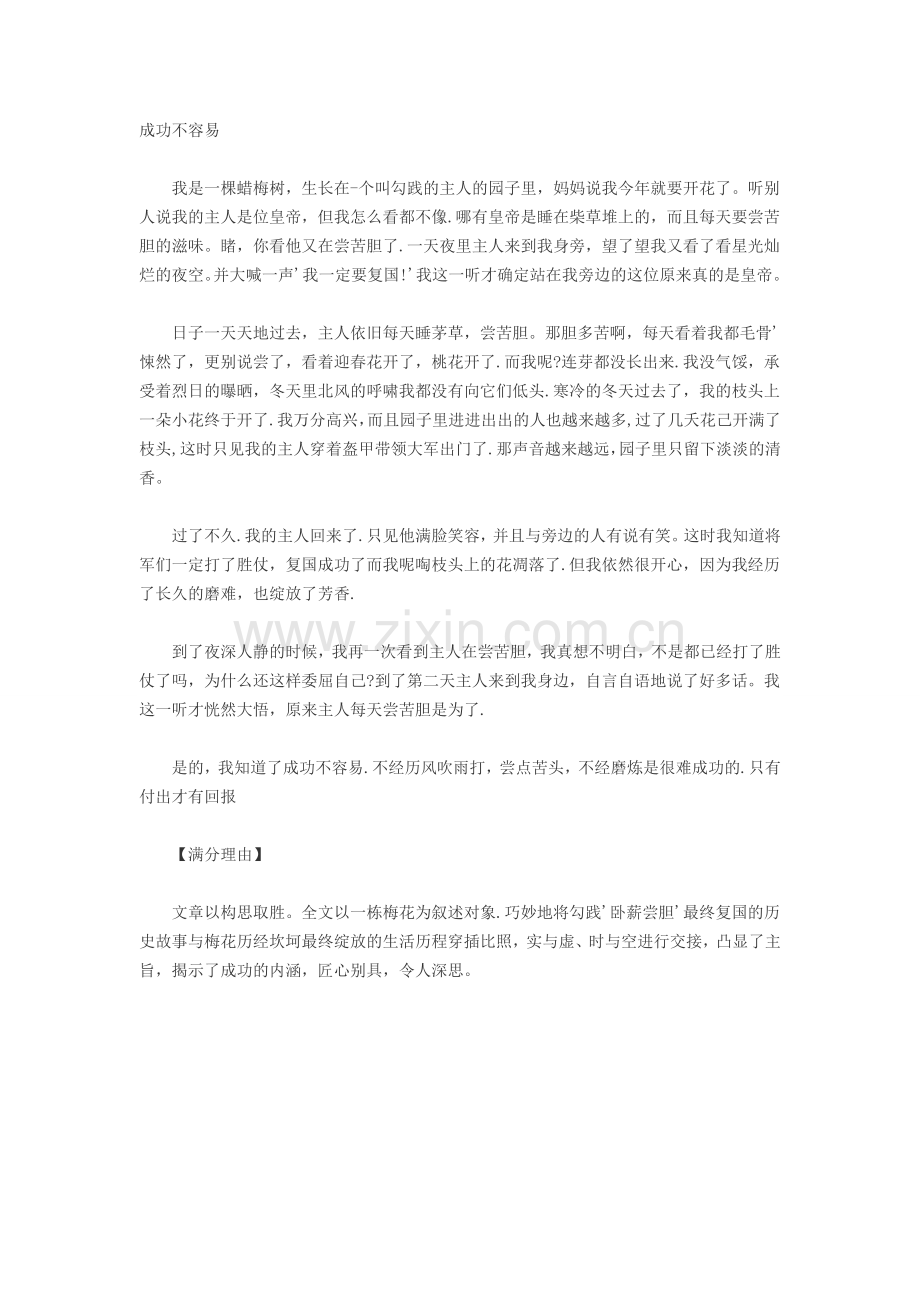 成功不容易.doc_第1页
