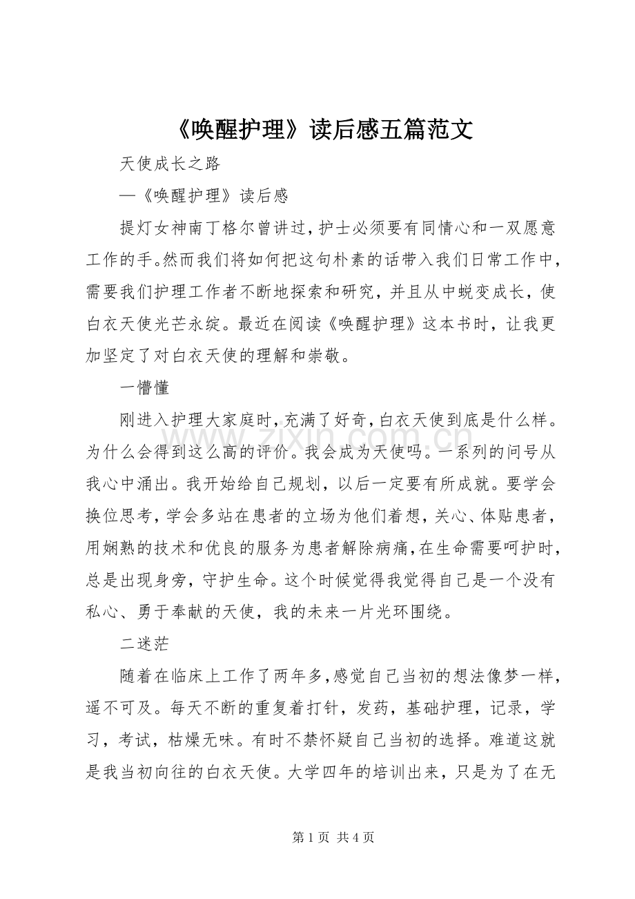 《唤醒护理》读后感五篇范文_1(2).docx_第1页