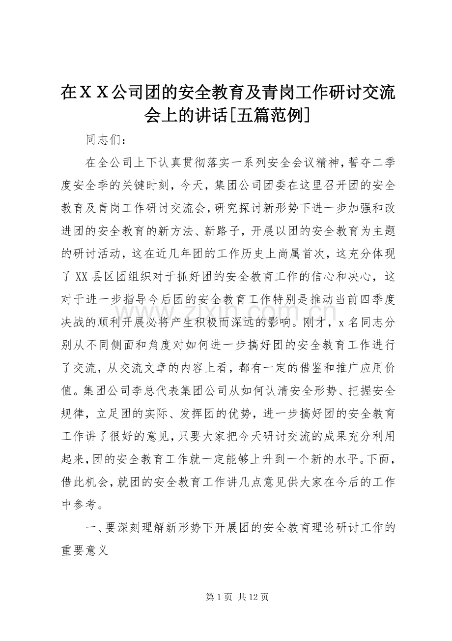 在ＸＸ公司团的安全教育及青岗工作研讨交流会上的讲话[五篇范例].docx_第1页