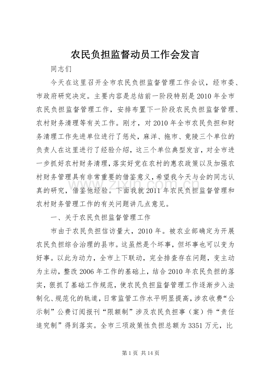农民负担监督动员工作会发言稿.docx_第1页