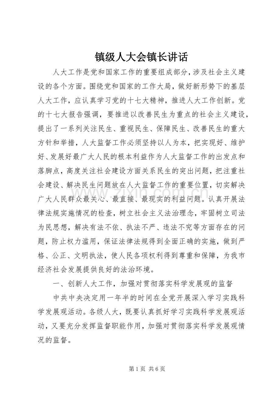 镇级人大会镇长讲话.docx_第1页
