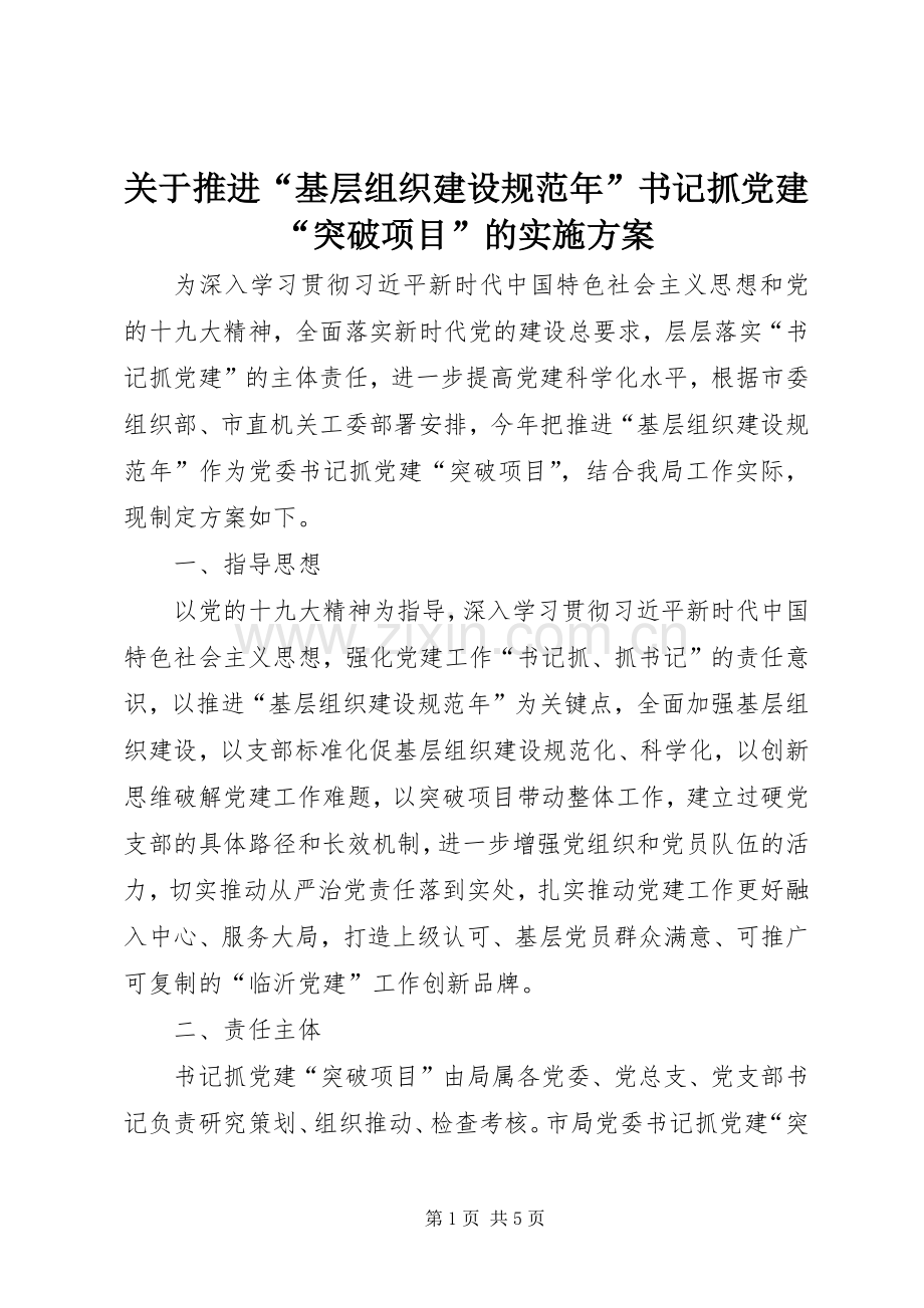 关于推进“基层组织建设规范年”书记抓党建“突破项目”的方案.docx_第1页