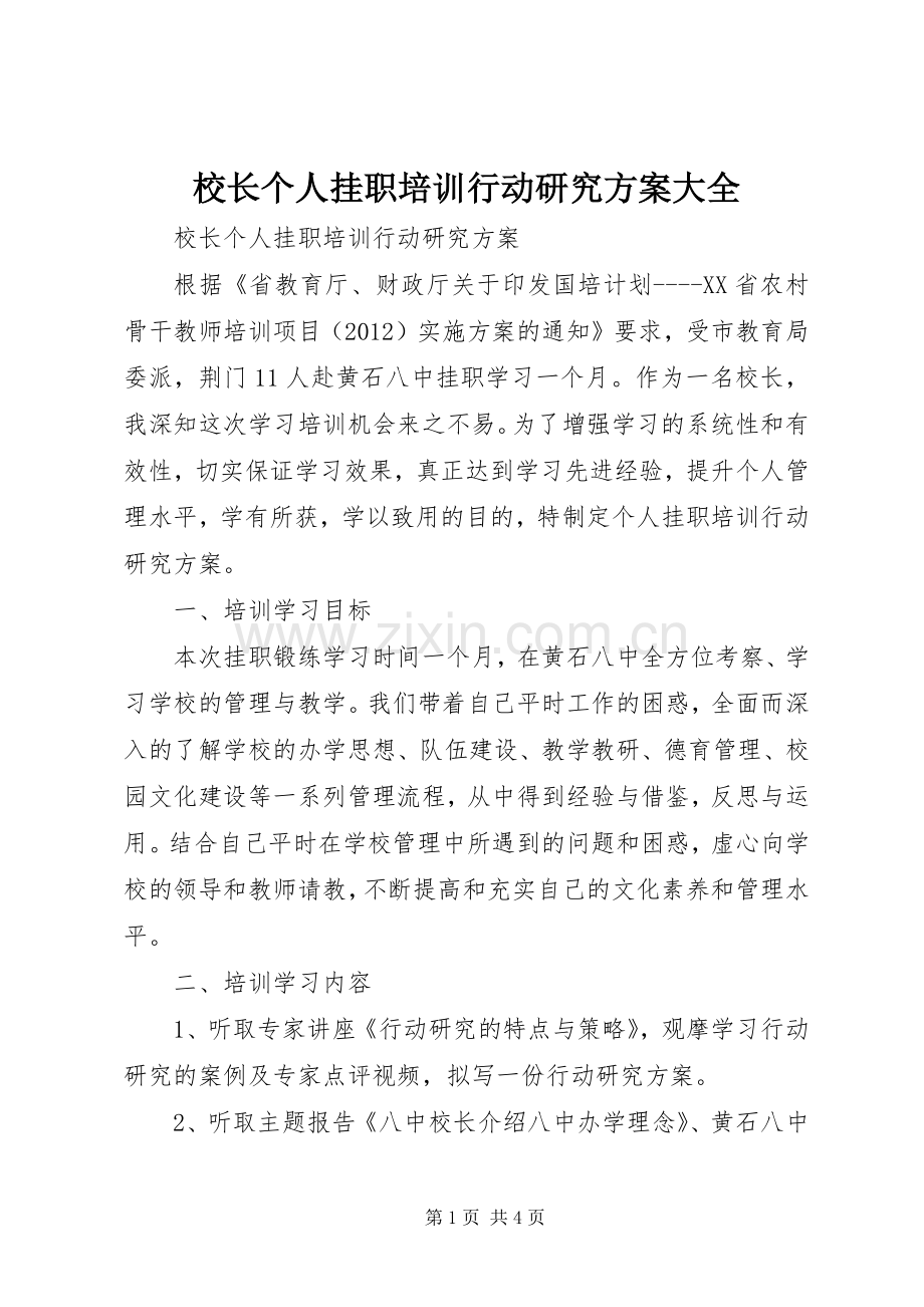 校长个人挂职培训行动研究实施方案大全.docx_第1页