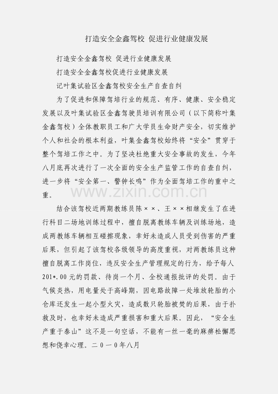 打造安全金鑫驾校 促进行业健康发展.docx_第1页