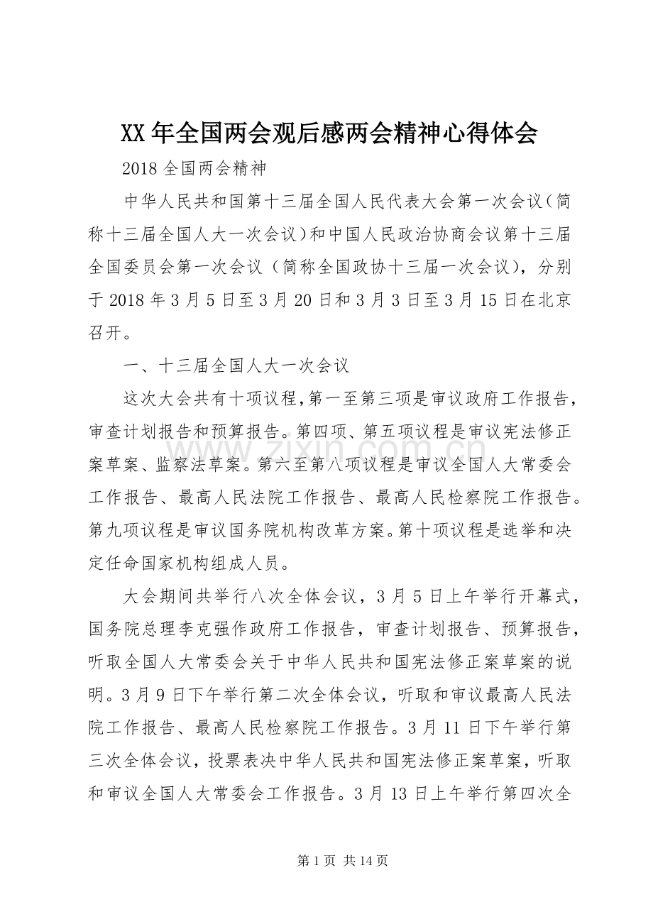 XX年全国两会观后感两会精神心得体会(2).docx_第1页