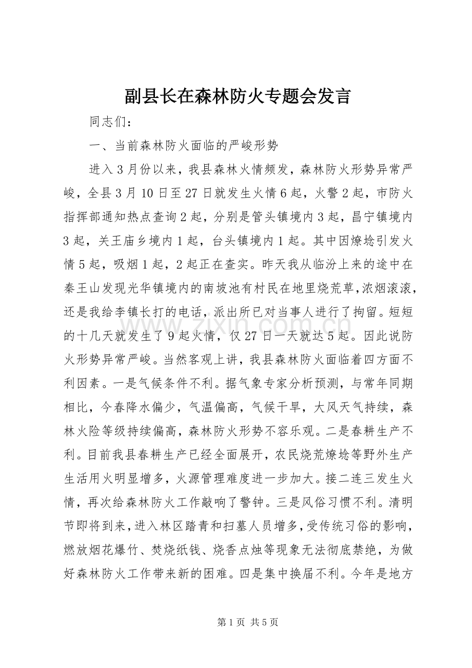 副县长在森林防火专题会发言稿.docx_第1页