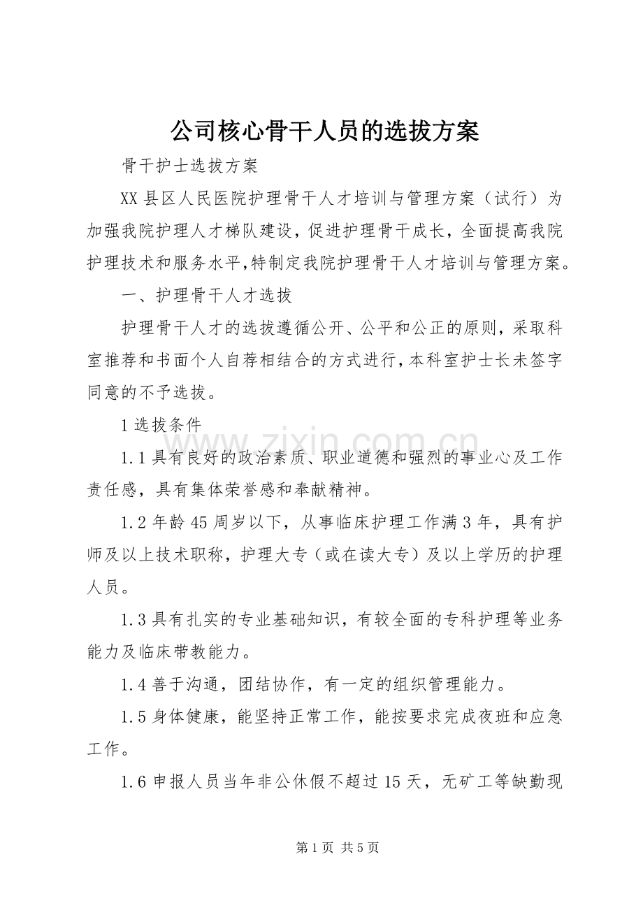 公司核心骨干人员的选拔实施方案 .docx_第1页