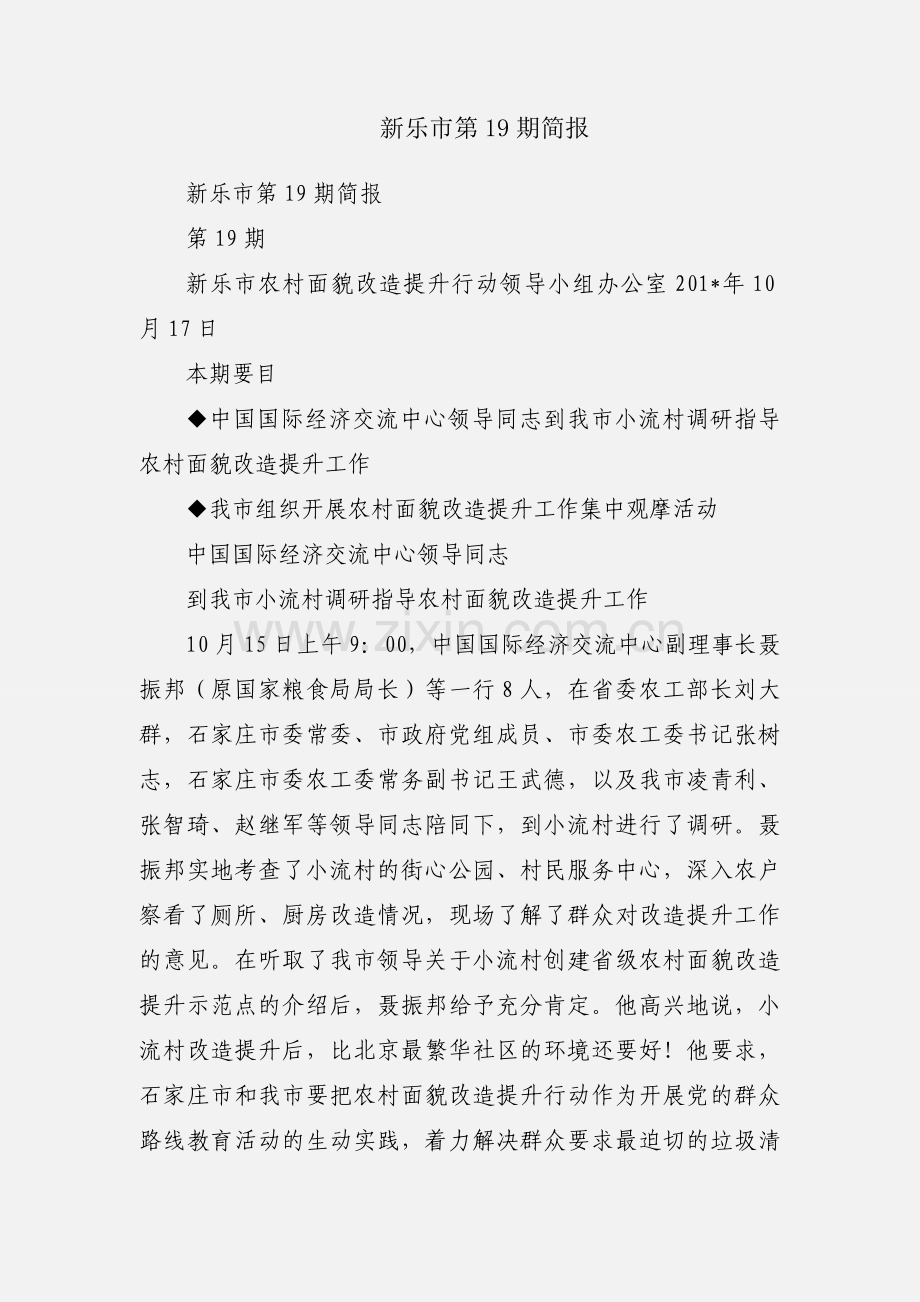 新乐市第19期简报.docx_第1页