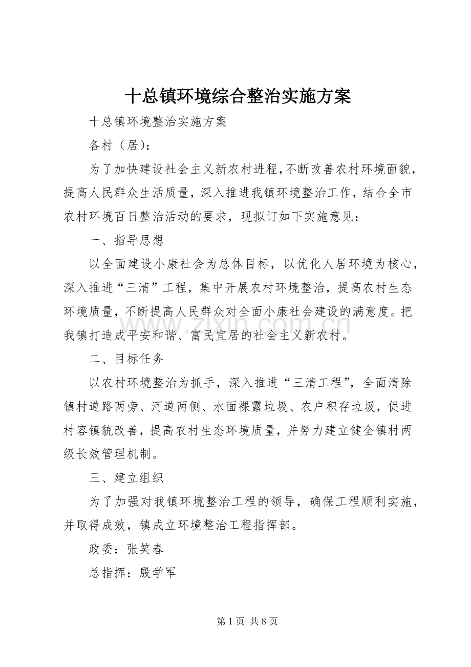 十总镇环境综合整治方案.docx_第1页