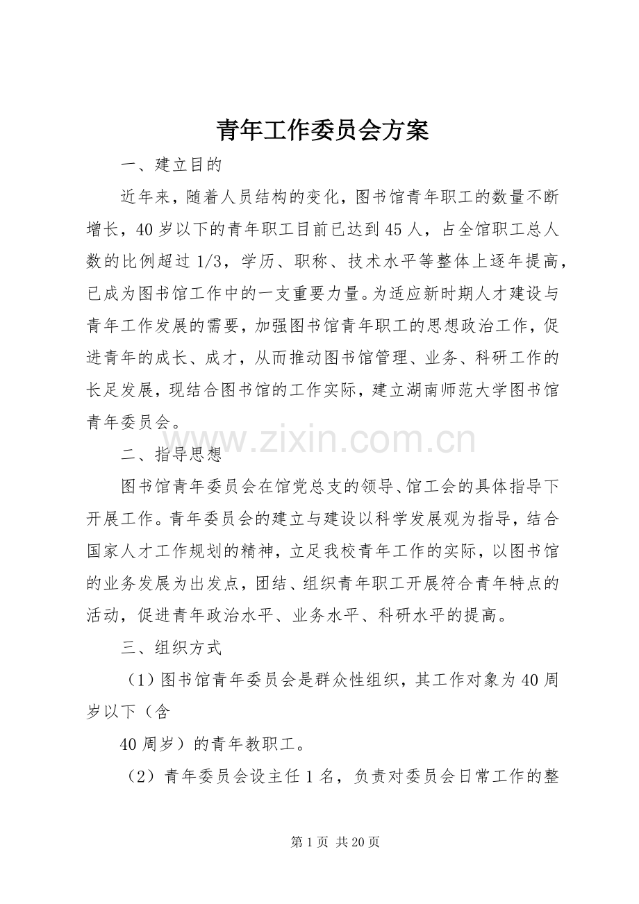 青年工作委员会实施方案.docx_第1页