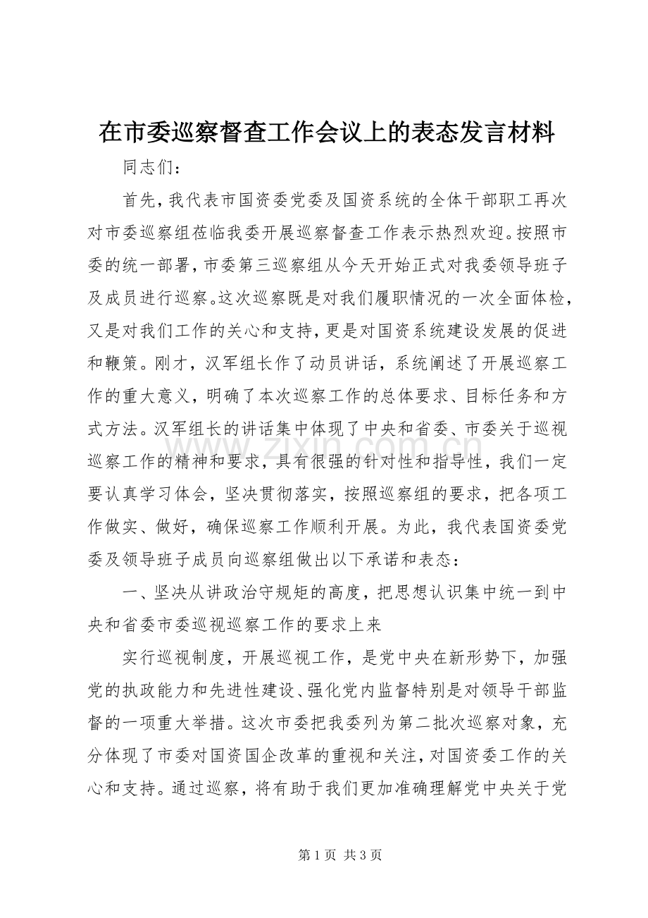 在市委巡察督查工作会议上的表态发言材料提纲.docx_第1页